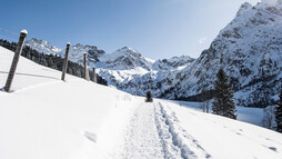 Wildental | © Kleinwalsertal Tourismus eGen | Fotograf @Dominik Berchtold
