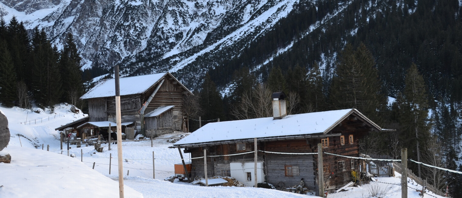 Blick zurück auf dem Weg ins Höfle | © Kleinwalsertal Tourismus eGen