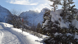 Der Anstieg ist geschafft und wird mit einer schönen Aussicht belohnt | © Kleinwalsertal Tourismus eGen