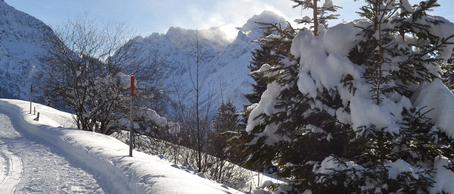 Der Anstieg ist geschafft und wird mit einer schönen Aussicht belohnt | © Kleinwalsertal Tourismus eGen