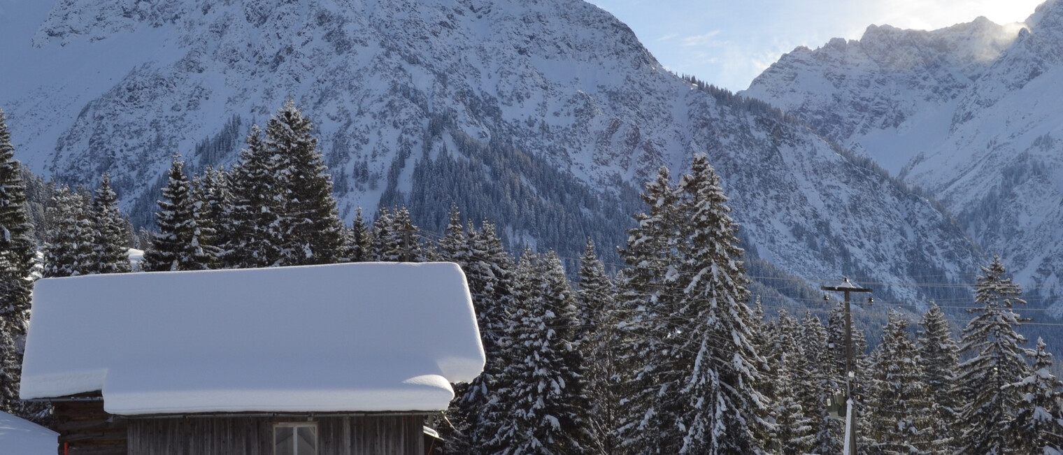 Aussicht auf Elfer, Zwölfer, Bärenkopf und Widderstein | © Kleinwalsertal Tourismus eGen