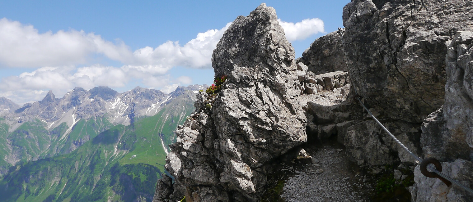 Am Südlichen Schafalpenkopf | © Outdooractive Editors