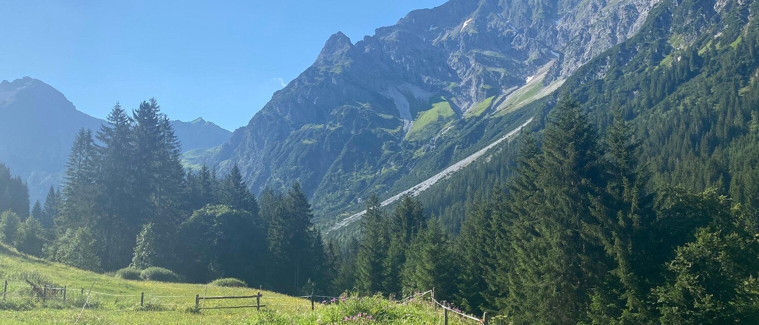 Ausblick in das Wildental | © Kleinwalsertal Tourismus eGen