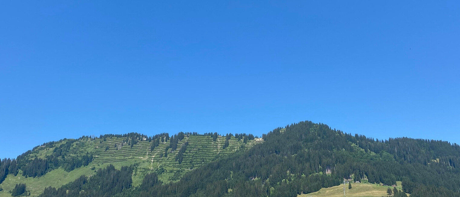Auf dem Rückweg mit Blick nach Mittelberg | © Kleinwalsertal Tourismus eGen