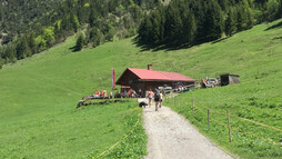 Gemstel Schönesboden | © Kleinwalsertal Tourismus eGen Wanderung zur Hütte Gemstel Schönesboden | © Kleinwalsertal Tourismus eGen