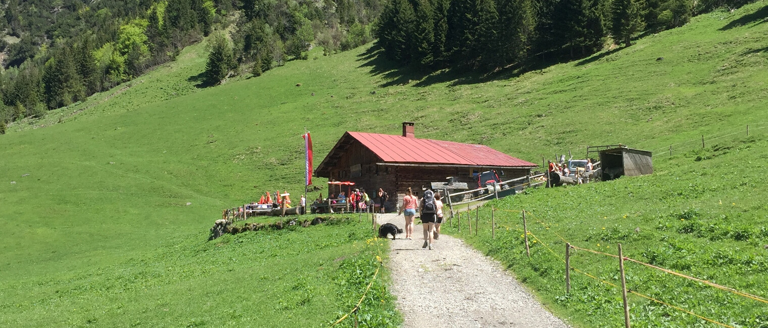 Gemstel Schönesboden | © Kleinwalsertal Tourismus eGen Wanderung zur Hütte Gemstel Schönesboden | © Kleinwalsertal Tourismus eGen