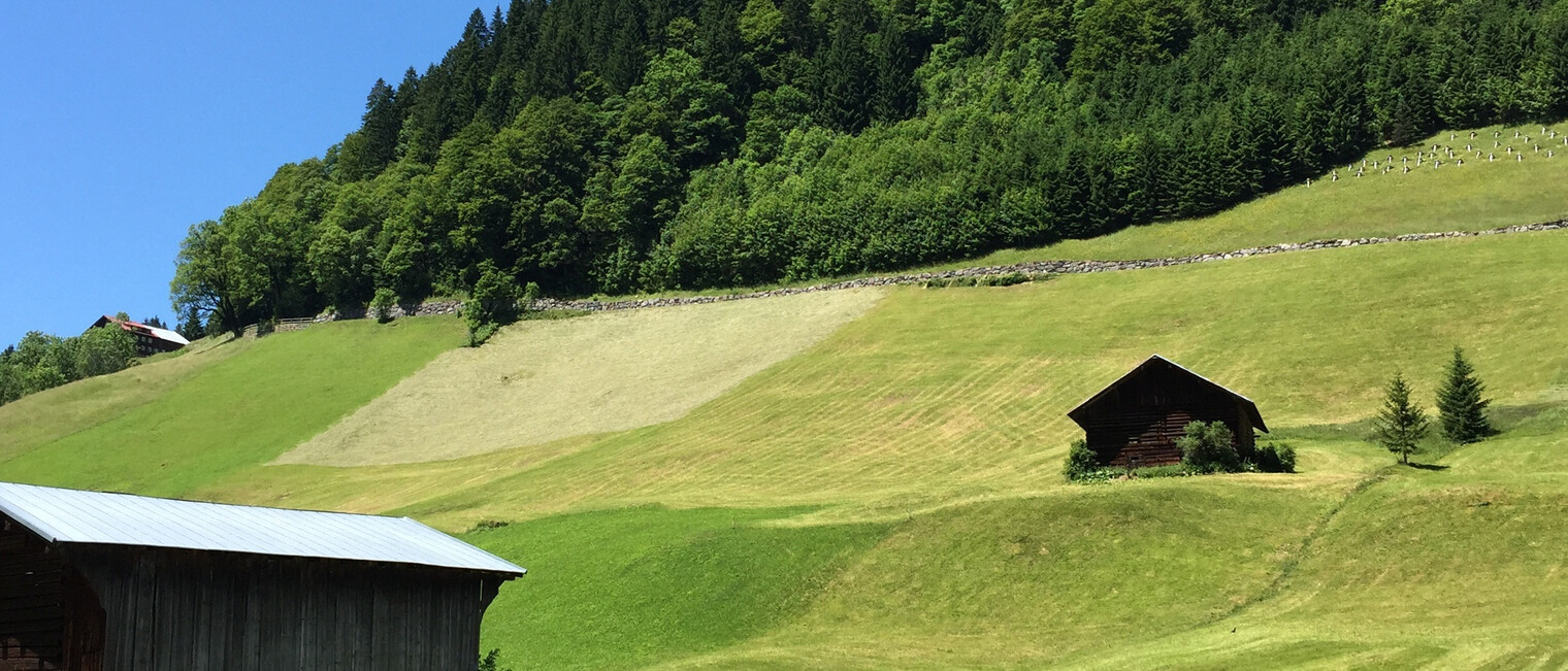 Start der Tour in Mittelberg Bödmen | © Kleinwalsertal Tourismus eGen Wandertour in Bödmen am Mittelberg | © Kleinwalsertal Tourismus eGen