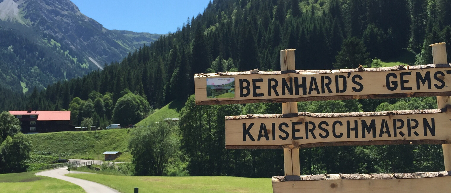 Ins Gemsteltal | © Kleinwalsertal Tourismus eGen Wegweiser im Gemsteltal | © Kleinwalsertal Tourismus eGen