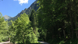 An der Breitach entlang | © Kleinwalsertal Tourismus eGen Wanderweg an der Breitach | © Kleinwalsertal Tourismus eGen