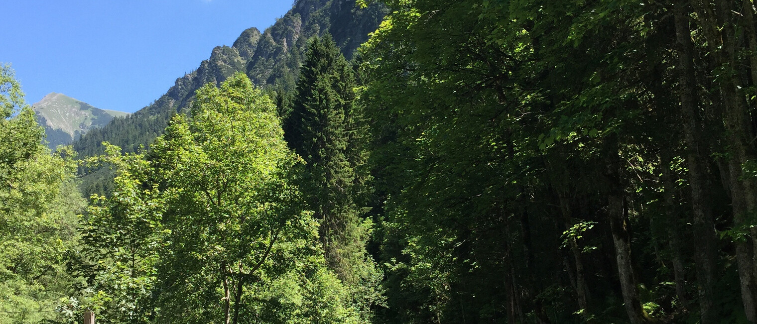 An der Breitach entlang | © Kleinwalsertal Tourismus eGen Wanderweg an der Breitach | © Kleinwalsertal Tourismus eGen