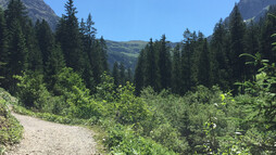 Hinein ins Gemsteltal | © Kleinwalsertal Tourismus eGen Rundwanderweg im Gemsteltal | © Kleinwalsertal Tourismus eGen