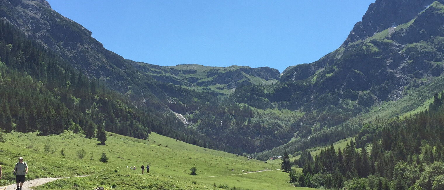Bergpanorama mit Elfer und Kleinem Widderstein | © Kleinwalsertal Tourismus eGen Wanderweg mit Blick auf den Elfer und kleinen Widderstein | © Kleinwalsertal Tourismus eGen