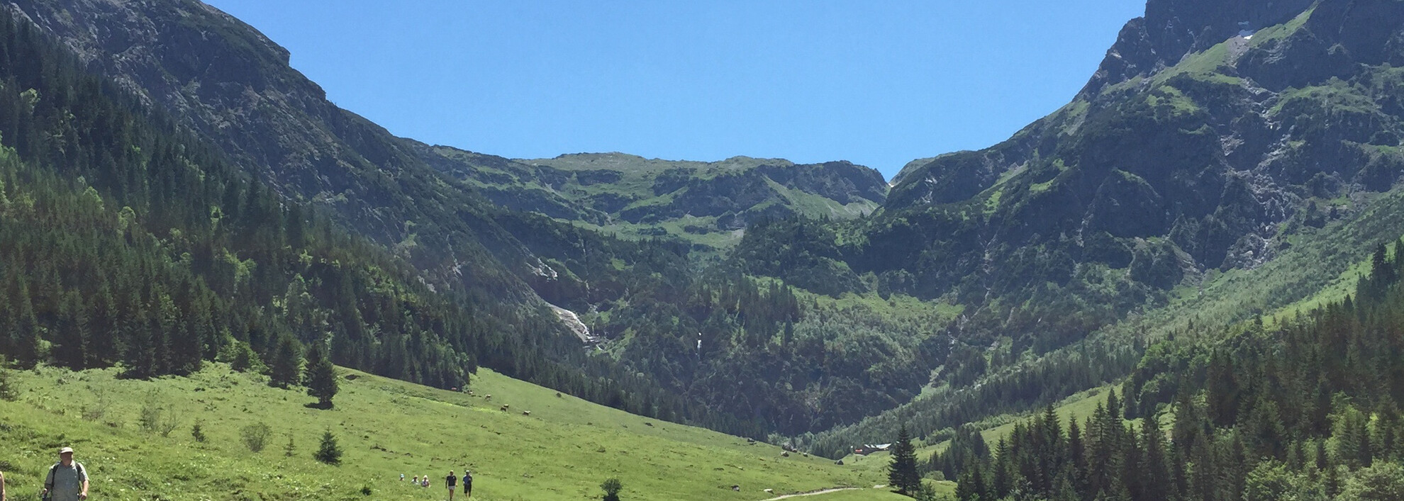 Bergpanorama mit Elfer und Kleinem Widderstein | © Kleinwalsertal Tourismus eGen Wanderweg mit Blick auf den Elfer und kleinen Widderstein | © Kleinwalsertal Tourismus eGen