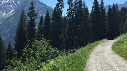 Zwölfer und Elfer | © Kleinwalsertal Tourismus eGen