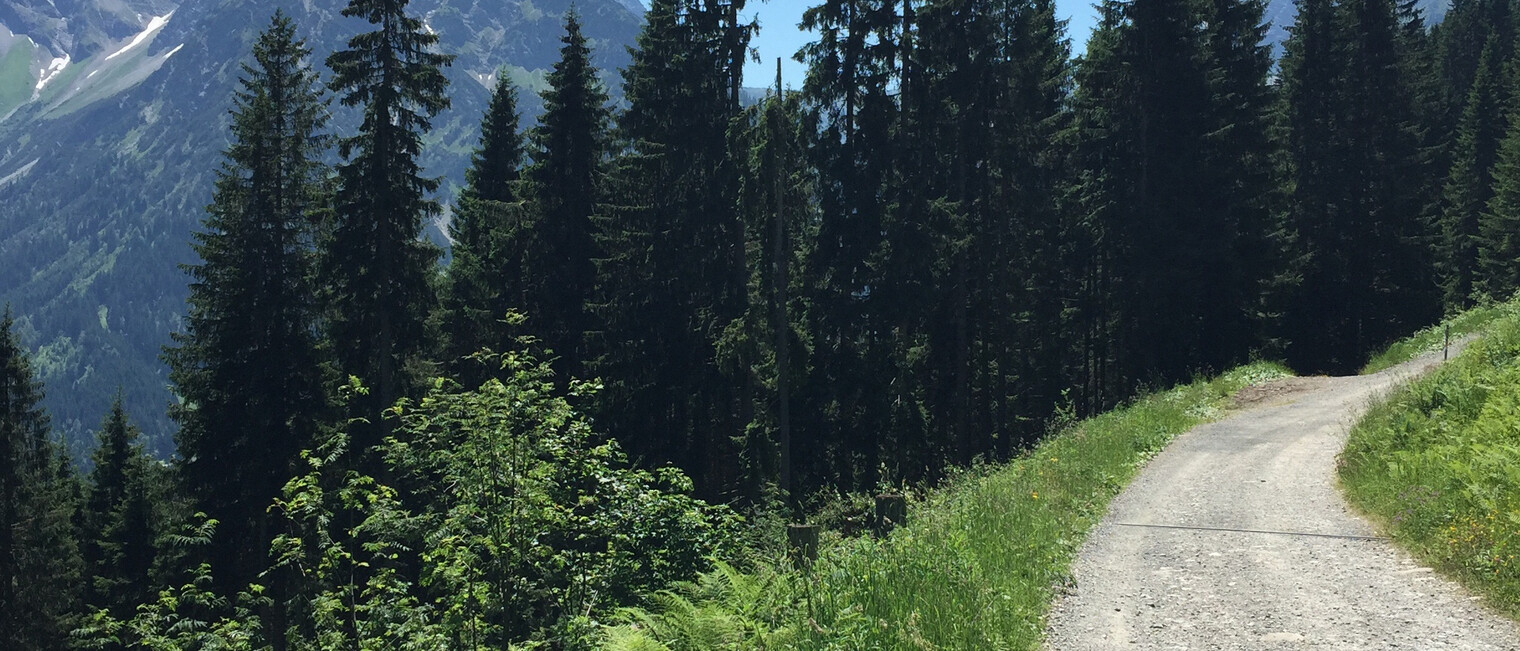 Zwölfer und Elfer | © Kleinwalsertal Tourismus eGen