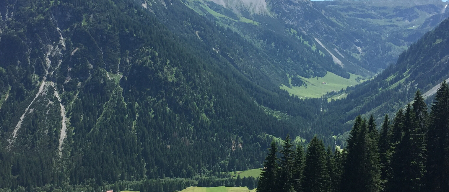 Blick ins Gemsteltal und den Ortsteil Bödmen | © Kleinwalsertal Tourismus eGen
