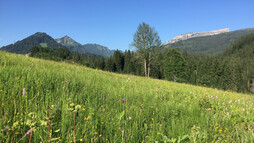 Blick auf den Ifen | © Kleinwalsertal Tourismus eGen