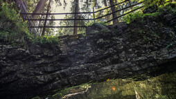 Naturbrücke | © Kleinwalsertal Tourismus eGen | Fotograf @Oliver Farys