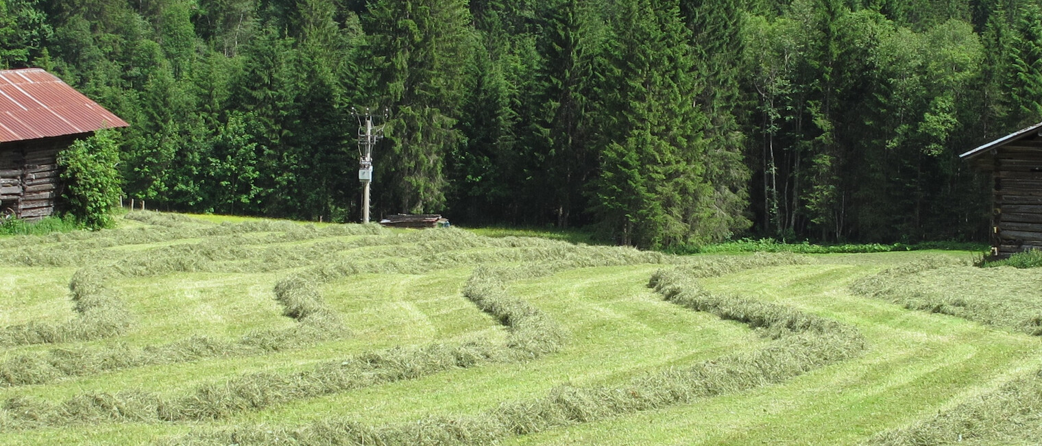 Kleinwalsertal | Walserstall Mittelberg | © Kleinwalsertal Tourismus eGen | Fotograf: @Stefan Heim Kleinwalsertal | Walserstall Mittelberg | © Kleinwalsertal Tourismus eGen | Fotograf: @Stefan Heim