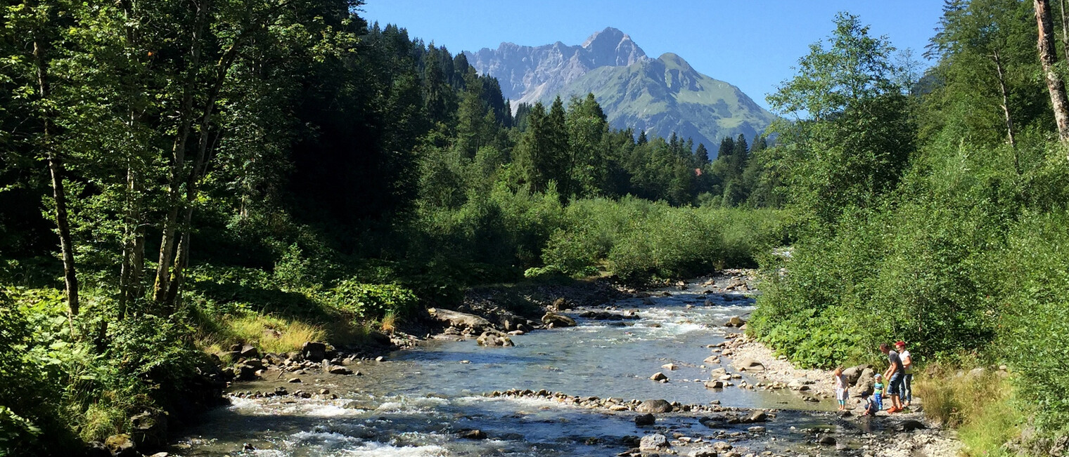 Blick über die Breiach | © Kleinwalsertal Tourismus eGen Blick über die Breiach | © Kleinwalsertal Tourismus eGen