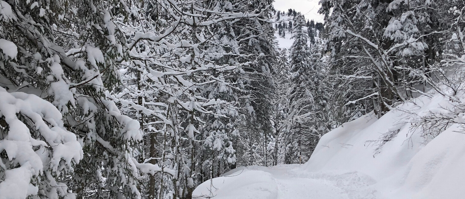 Winterwanderweg im Bärgunttal | © Kleinwalsertal Tourismus eGen