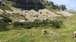 Felswände des Hohen Ifen | © Kleinwalsertal Tourismus eGen