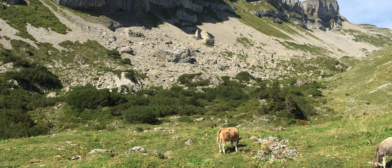 Felswände des Hohen Ifen | © Kleinwalsertal Tourismus eGen