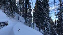 Höhenweg Söllereck | © Kleinwalsertal Tourismus eGen