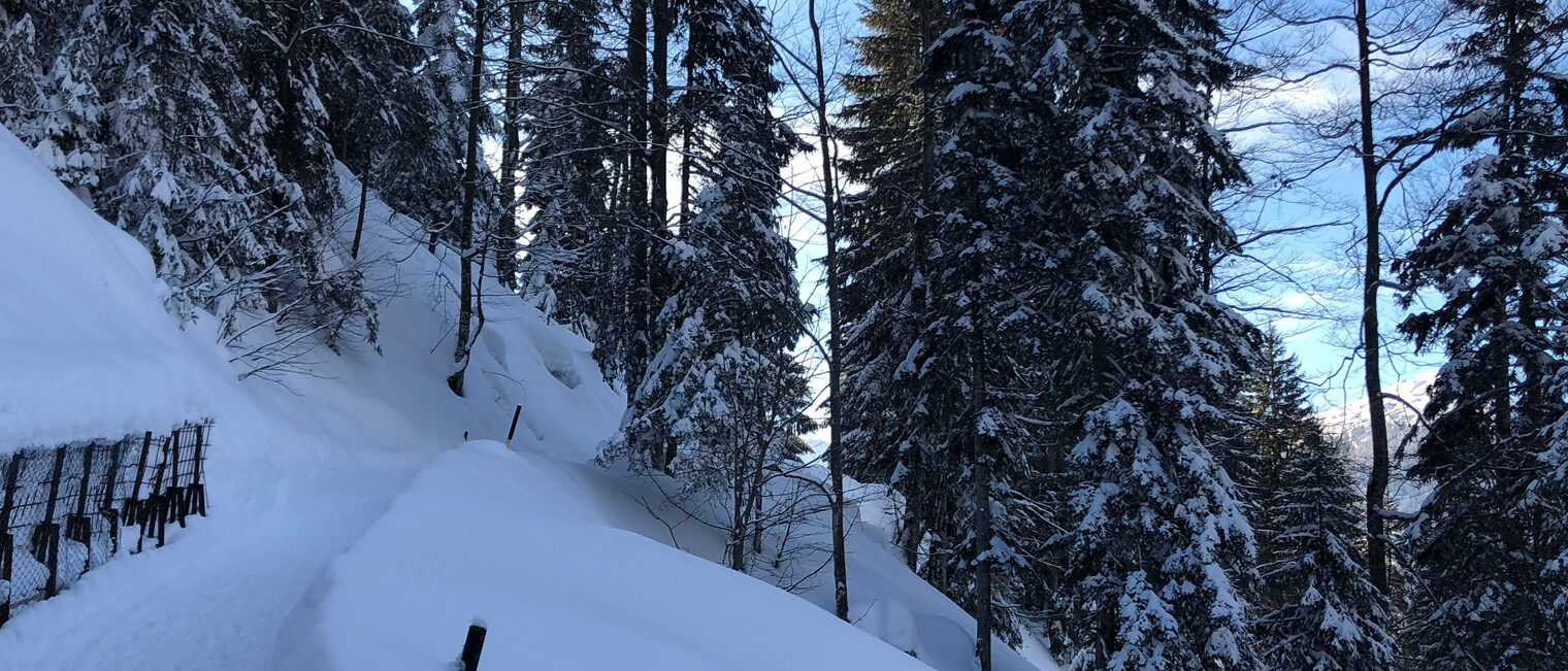 Höhenweg Söllereck | © Kleinwalsertal Tourismus eGen