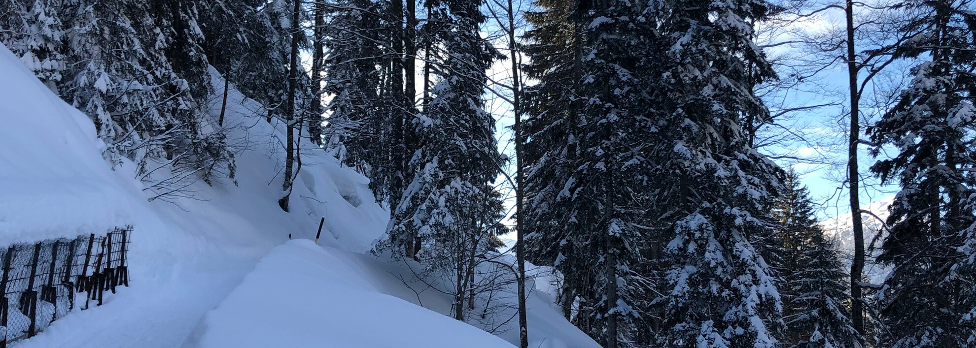 Höhenweg Söllereck | © Kleinwalsertal Tourismus eGen Höhenweg Söllereck | © Kleinwalsertal Tourismus eGen
