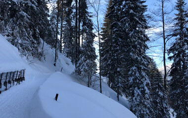Höhenweg Söllereck | © Kleinwalsertal Tourismus eGen