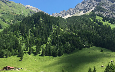 Blick auf den Elfer | © Kleinwalsertal Tourismus eGen