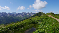 Am Schlappoltkopf | © Outdooractive Premium