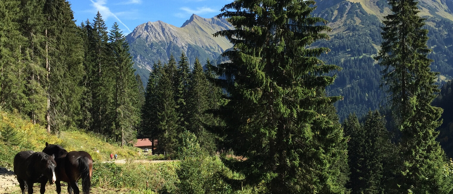 Bei der Duraalpe | © Kleinwalsertal Tourismus eGen