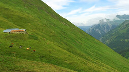 Obere Spitalalpe (unbewirtschaftet) | © Kleinwalsertal Tourismus eGen