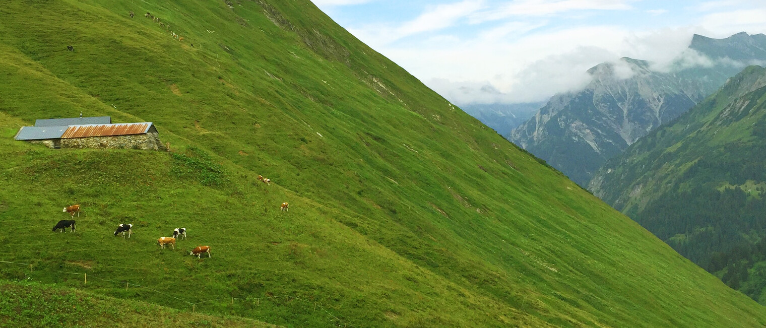 Obere Spitalalpe (unbewirtschaftet) | © Kleinwalsertal Tourismus eGen