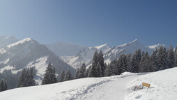 Oberer Höhenweg | © Kleinwalsertal Tourismus eGen