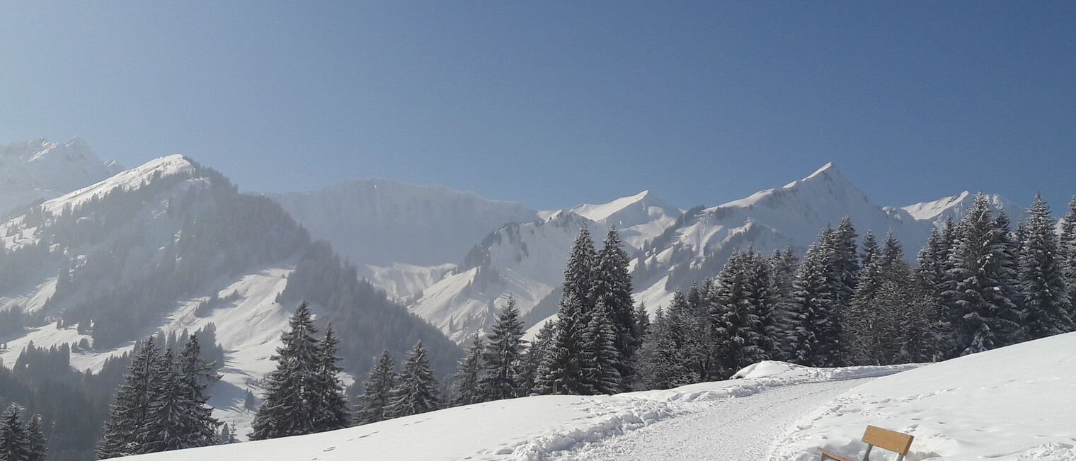Oberer Höhenweg | © Kleinwalsertal Tourismus eGen