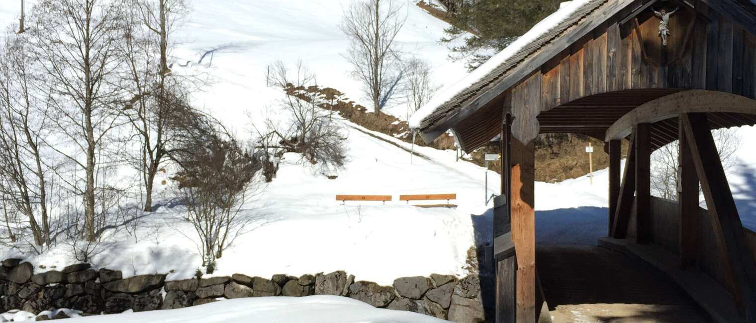 Höflebrücke über den Schwarzwasserbach | © Kleinwalsertal Tourismus eGen