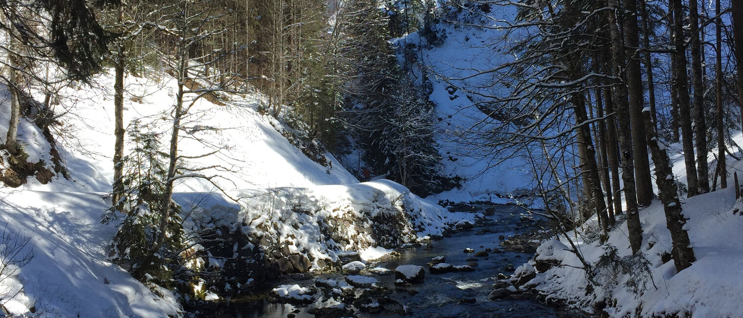 Schatten-Sonnen-Spiele am Schwarzwasserbach | © Kleinwalsertal Tourismus eGen
