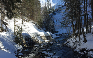 Schatten-Sonnen-Spiele am Schwarzwasserbach | © Kleinwalsertal Tourismus eGen