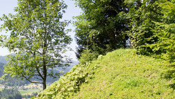 Erdhöcker | © Kleinwalsertal Tourismus eGen