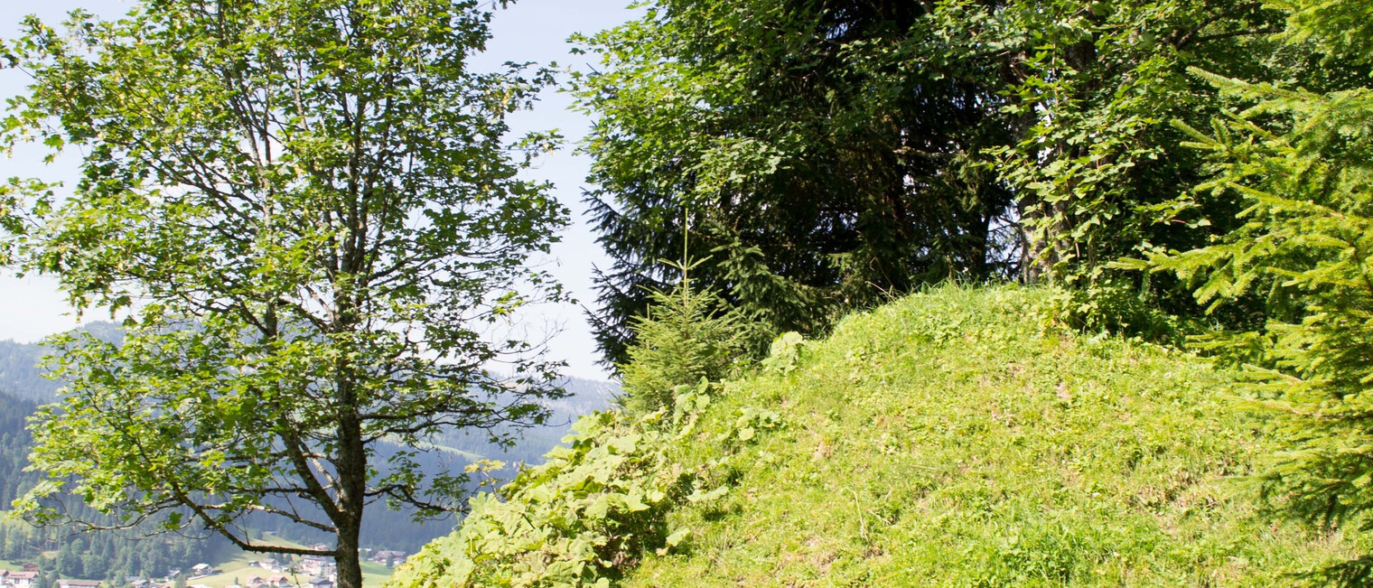 Erdhöcker | © Kleinwalsertal Tourismus eGen