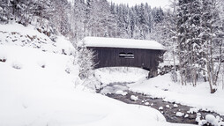 Leidtobelbrücke unterhalb von Hirschegg | © Kleinwalsertal Tourismus eGen | Fotograf @Oliver Farys Leidtobelbrücke unterhalb von Hirschegg | © Kleinwalsertal Tourismus eGen | Fotograf @Oliver Farys