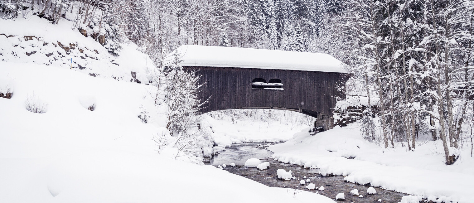 Leidtobelbrücke unterhalb von Hirschegg | © Kleinwalsertal Tourismus eGen | Fotograf @Oliver Farys Leidtobelbrücke unterhalb von Hirschegg | © Kleinwalsertal Tourismus eGen | Fotograf @Oliver Farys