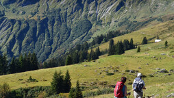 Kurz vor der Inneren Stierhofalpe mit Blick aufs Starzeljoch | © Kleinwalsertal Tourismus eGen