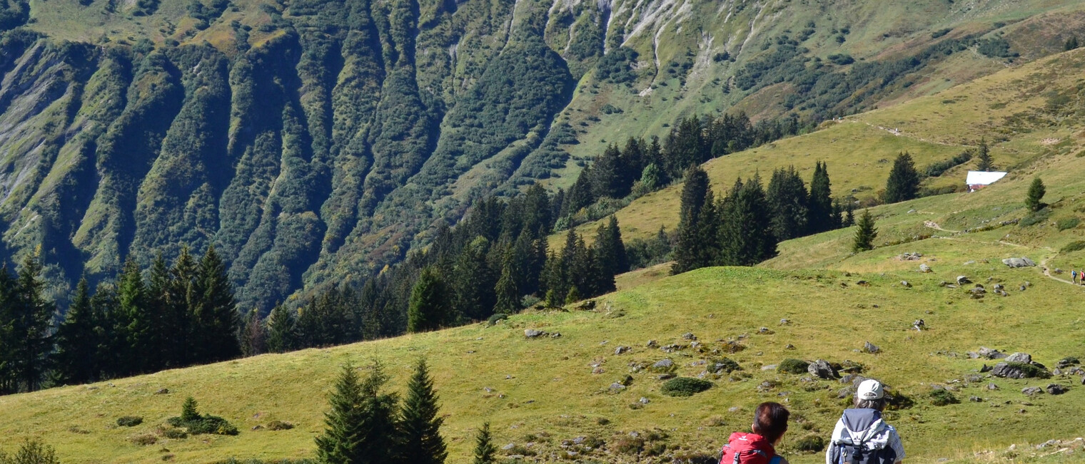 Kurz vor der Inneren Stierhofalpe mit Blick aufs Starzeljoch | © Kleinwalsertal Tourismus eGen
