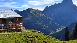 Alpe Innerer Stierhof – mit Blick auf den Großen Widderstein | © Kleinwalsertal Tourismus eGen