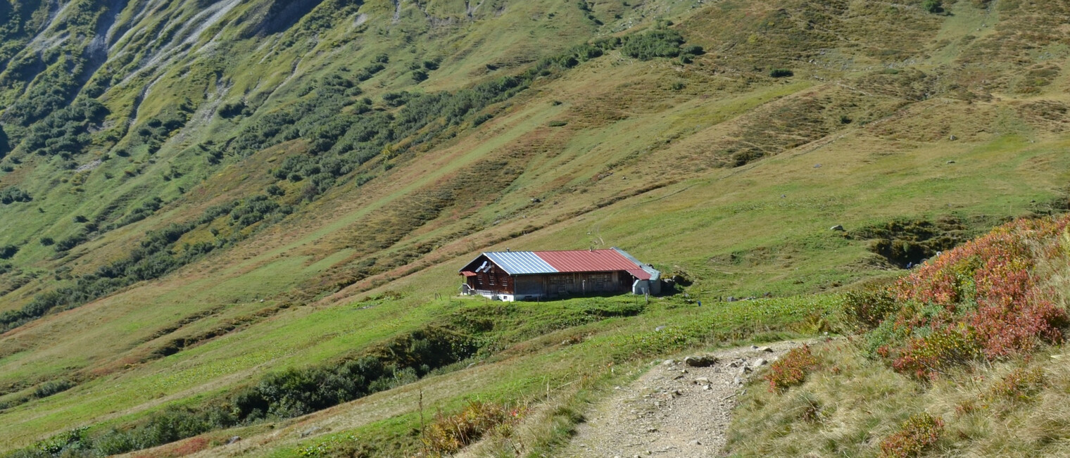 Starzelalp unterhalb der Starzeljochs | © Kleinwalsertal Tourismus eGen