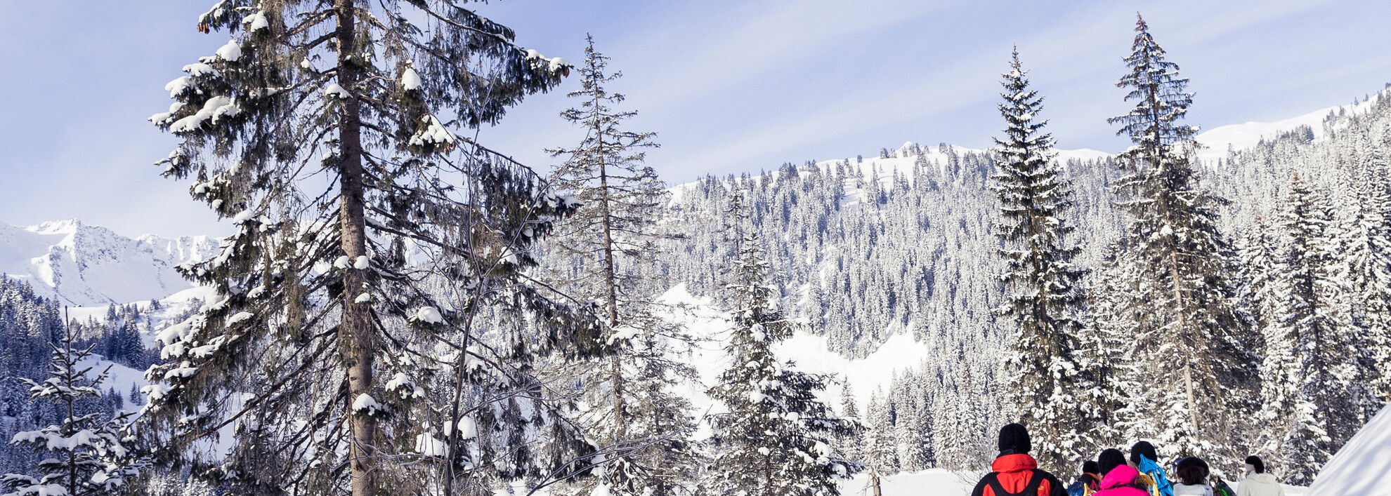 Schwarzwassertal Winterwanderweg | © Kleinwalsertal Tourismus eGen | Fotograf @Oliver Farys